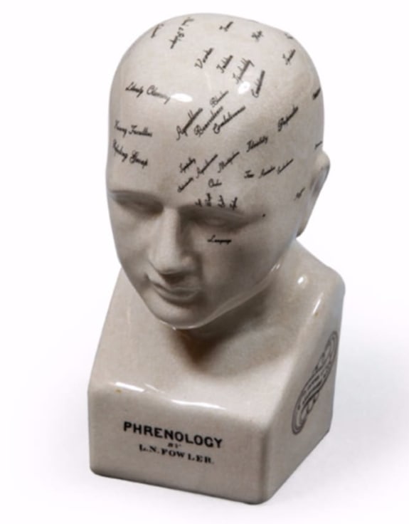 Small Antiqued Phrenology Head