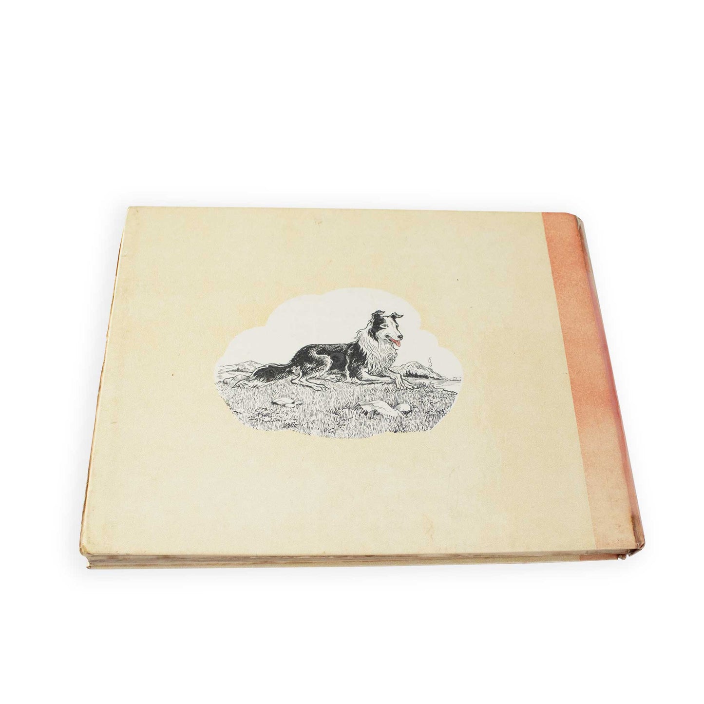 Vintage 1960s Black Bob 'The Dandy Wonder Dog' Hardback Book