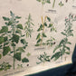 Vintage A. Pichlers Witwe & Sohn, Wien Ackerunkrauter 1 Field Weed Plant Poster
