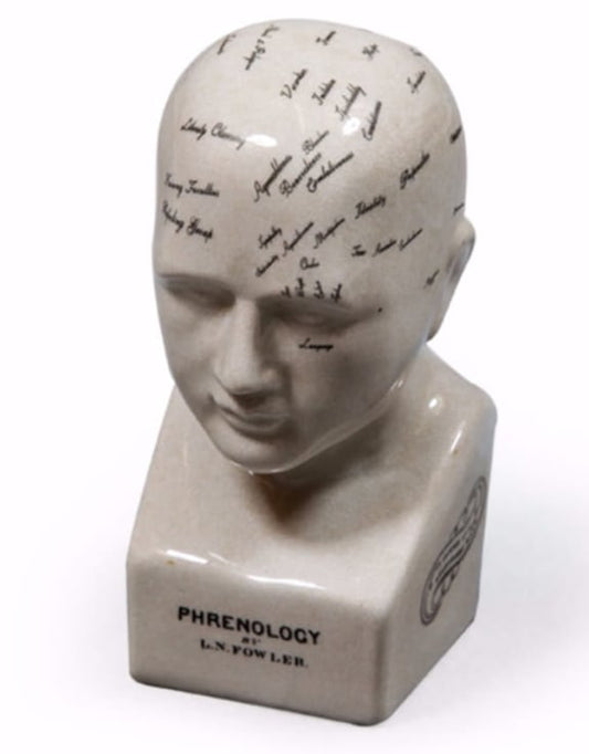 Small Antiqued Phrenology Head