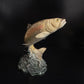 Vintage Beswick Trout 1032 Ornament
