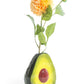Ceramic Avocado Stem Vase