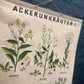 Vintage A. Pichlers Witwe & Sohn, Wien Ackerunkrauter 1 Field Weed Plant Poster