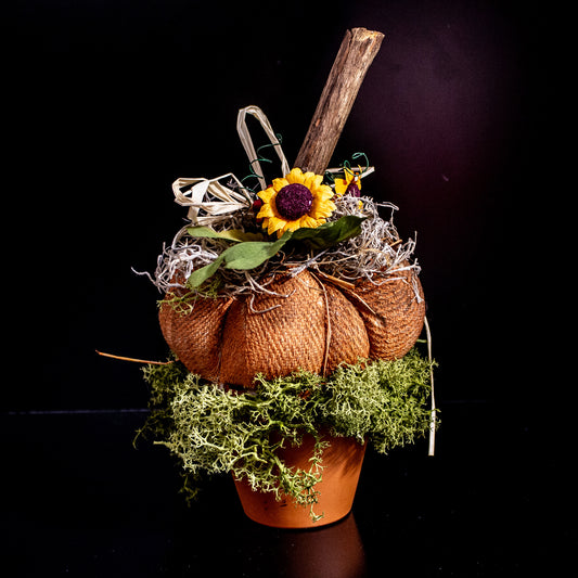 Handmade Potted Pumpkin