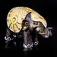 Indian Style Elephant Ornament Figurine